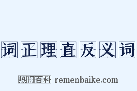 词正理直反义词是什么意思的图片